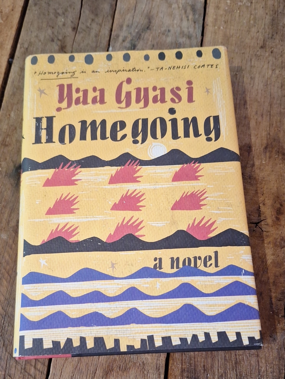 Homegoing - Yaa Gyasi